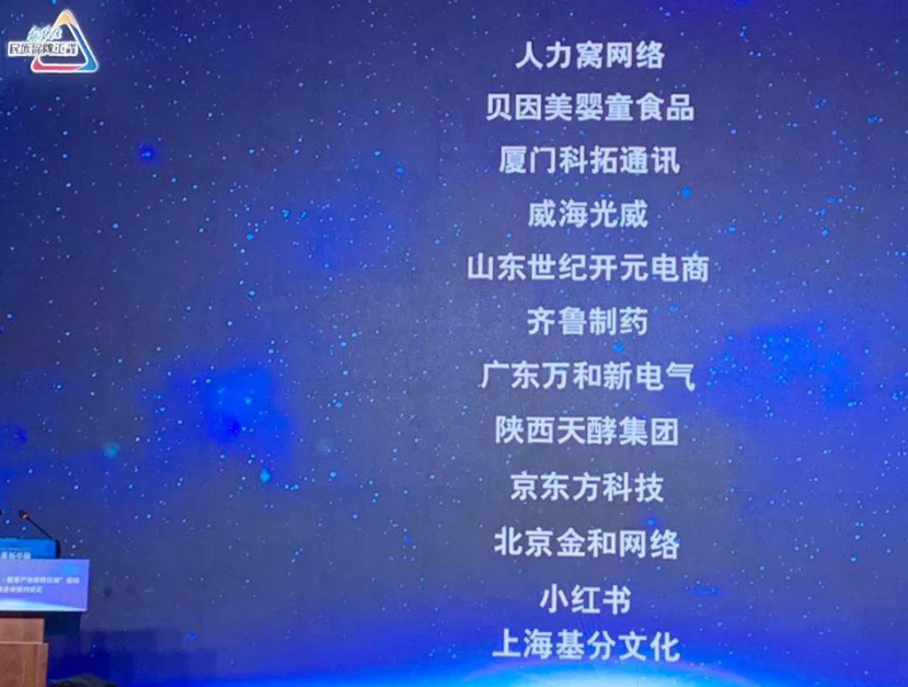 服务产业新锐行动相关企业名称展示